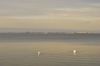 Ostsee-Deutschland-Wieck-Ruegen-2012-13-RS-Wiek-2013-130107-OS-20.jpg